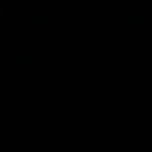 Meet your Posher, Miraye